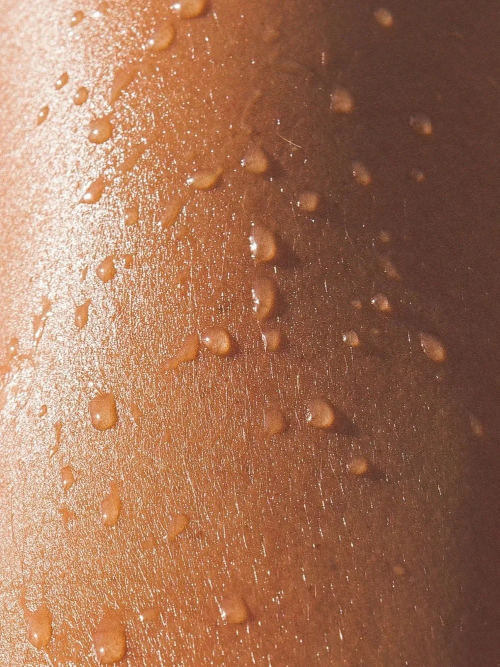 Sand + Fog Vanilla Bloom Liquid Hand Soap- floral gourmand, aloe, hydrating